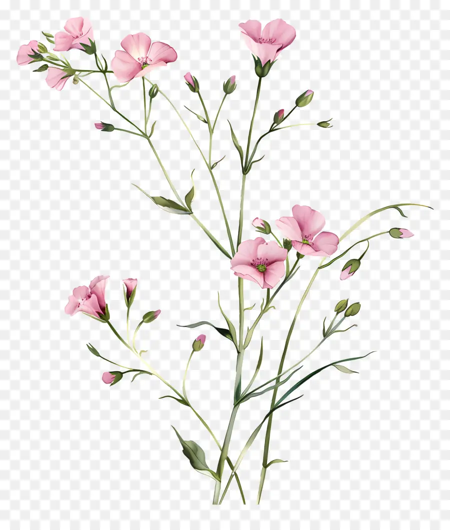 Fleurs Roses，Fleurs PNG