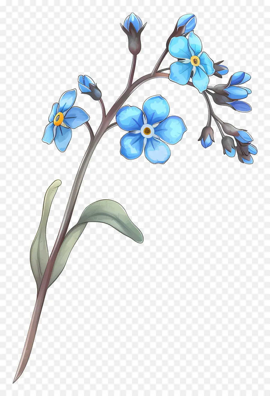 Ne M'oubliez Pas，Fleurs Bleues PNG