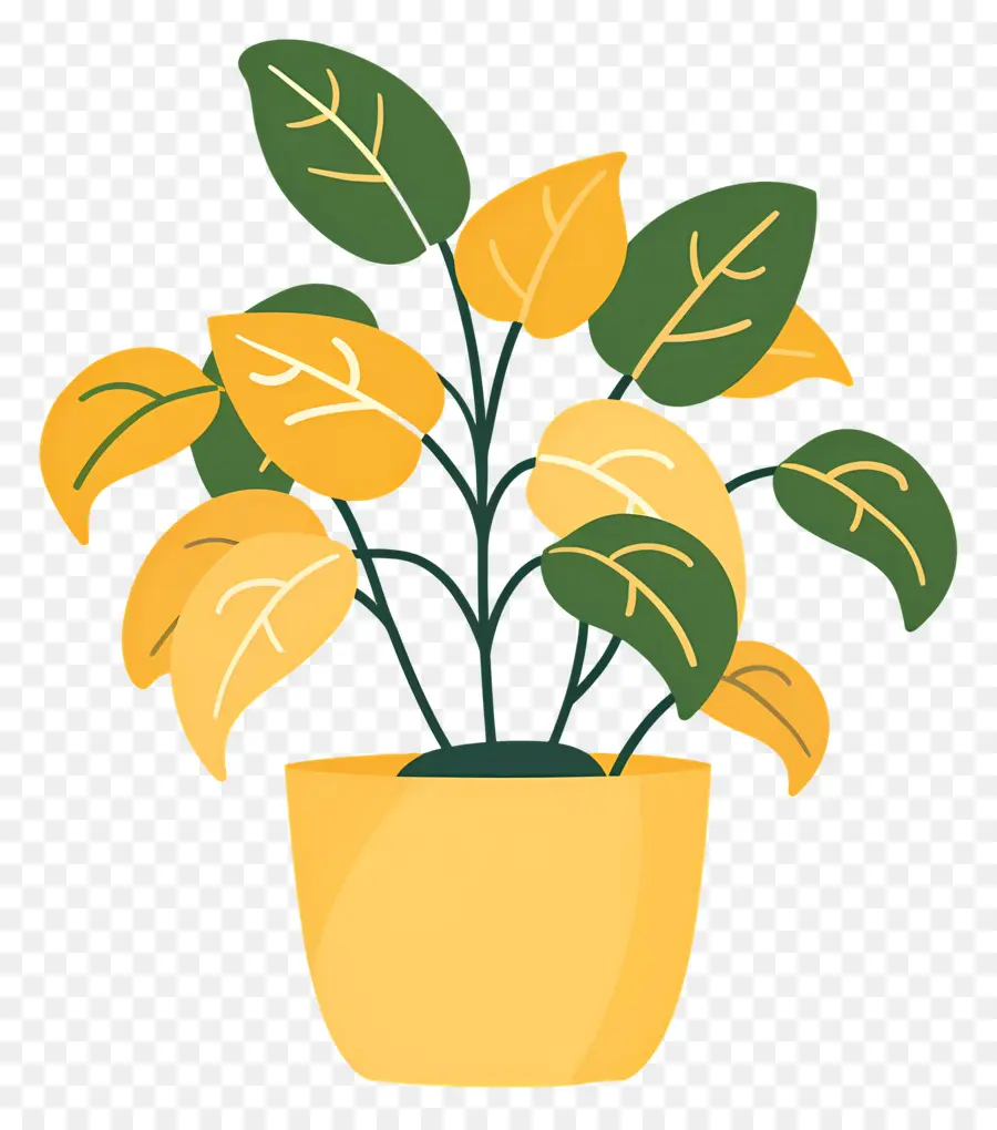 Plante D'intérieur Ondulée，Plante à Fleurs Jaunes PNG