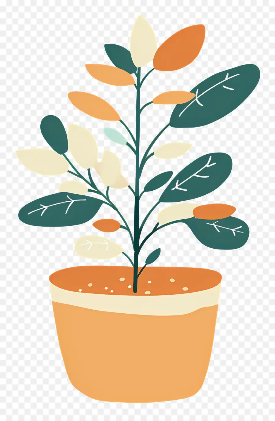 Plante D'intérieur Ondulée，Plante En Pot PNG