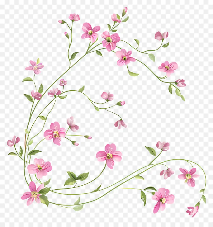 Fleurs Roses，Fleur PNG