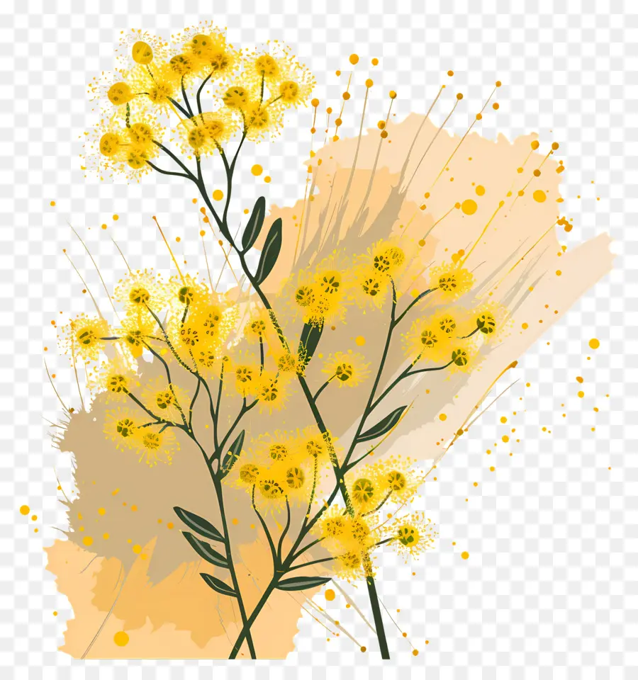 Mimosa Fleur，Fleurs Jaunes PNG