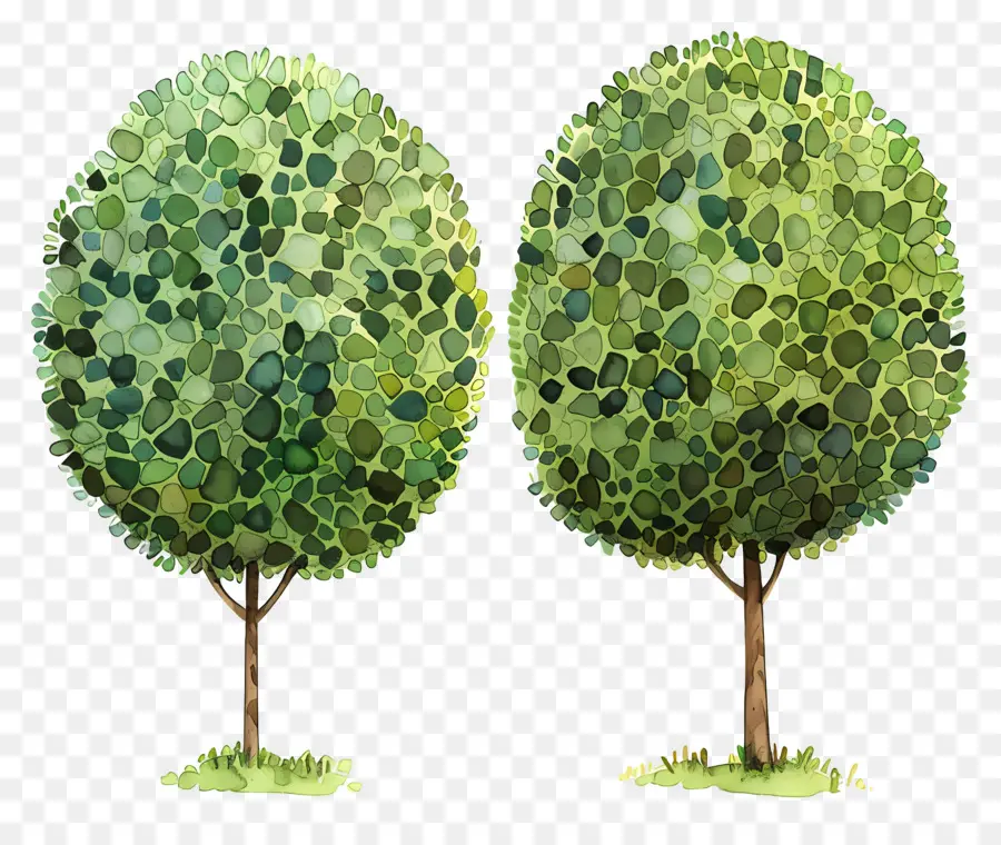 Arbres Verts，Les Arbres PNG