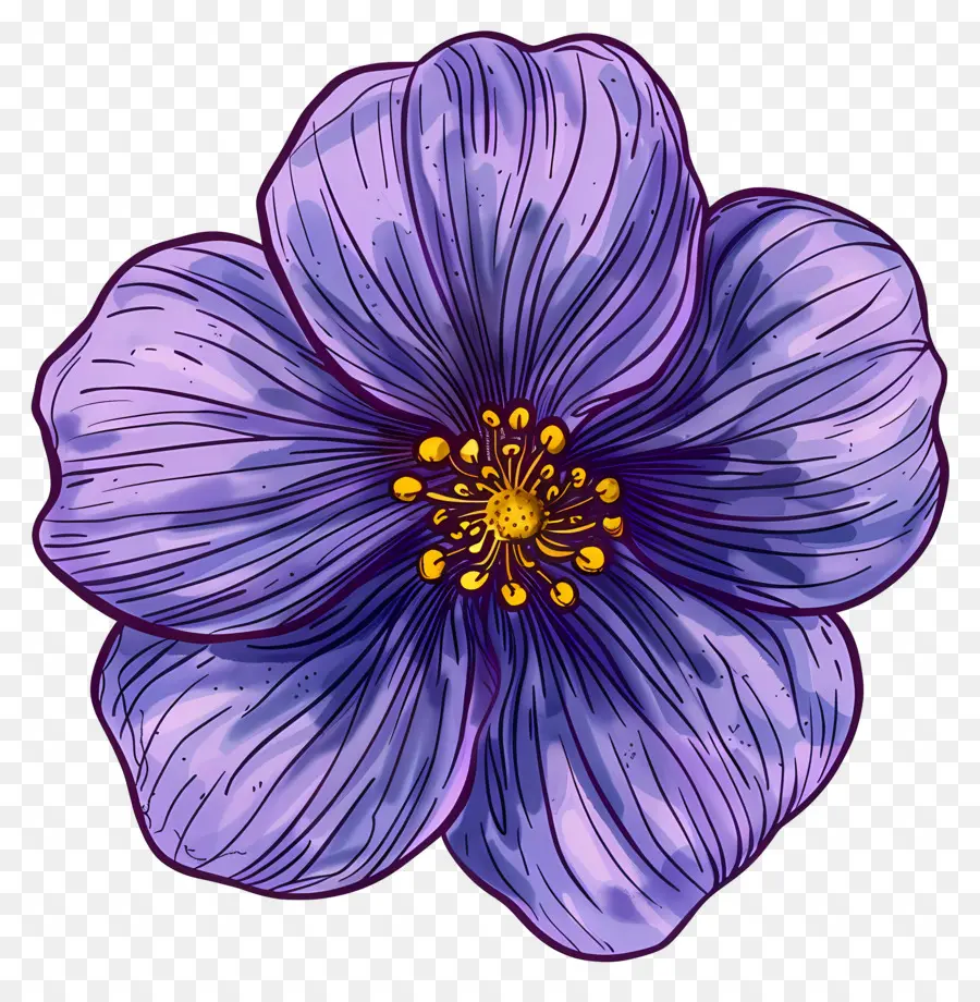 Fleur Violette，Fleur PNG