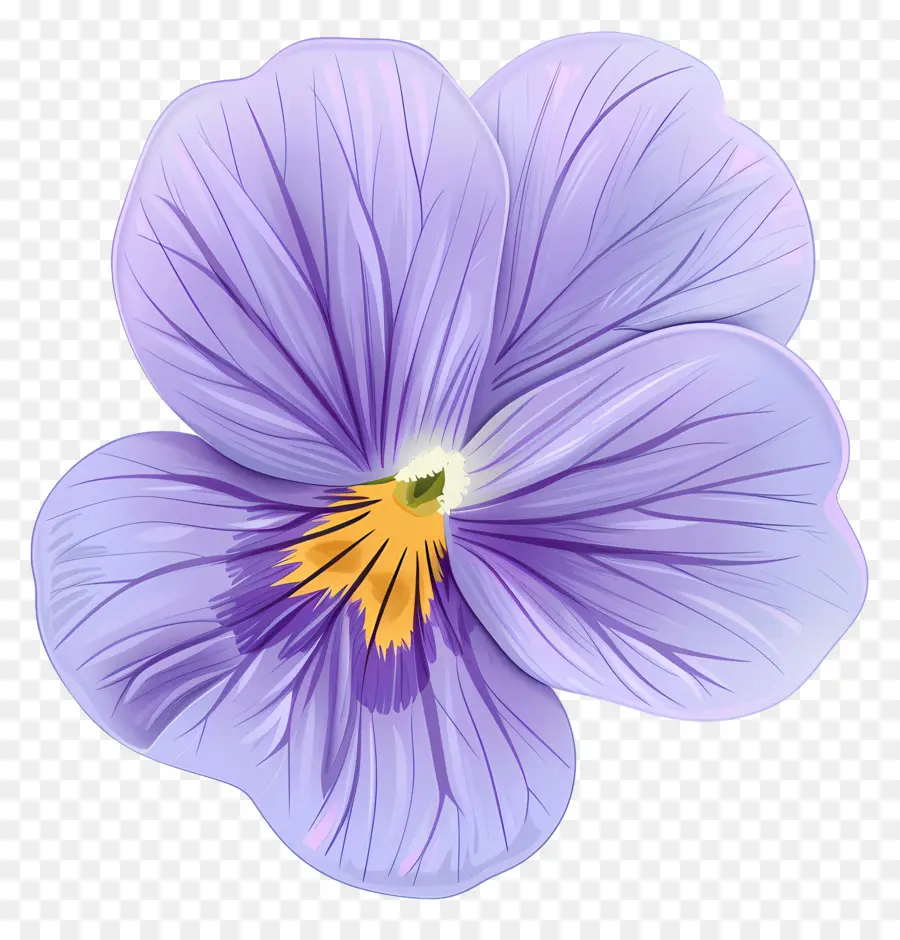 La Fleur De Violette，Fleur Pourpre PNG