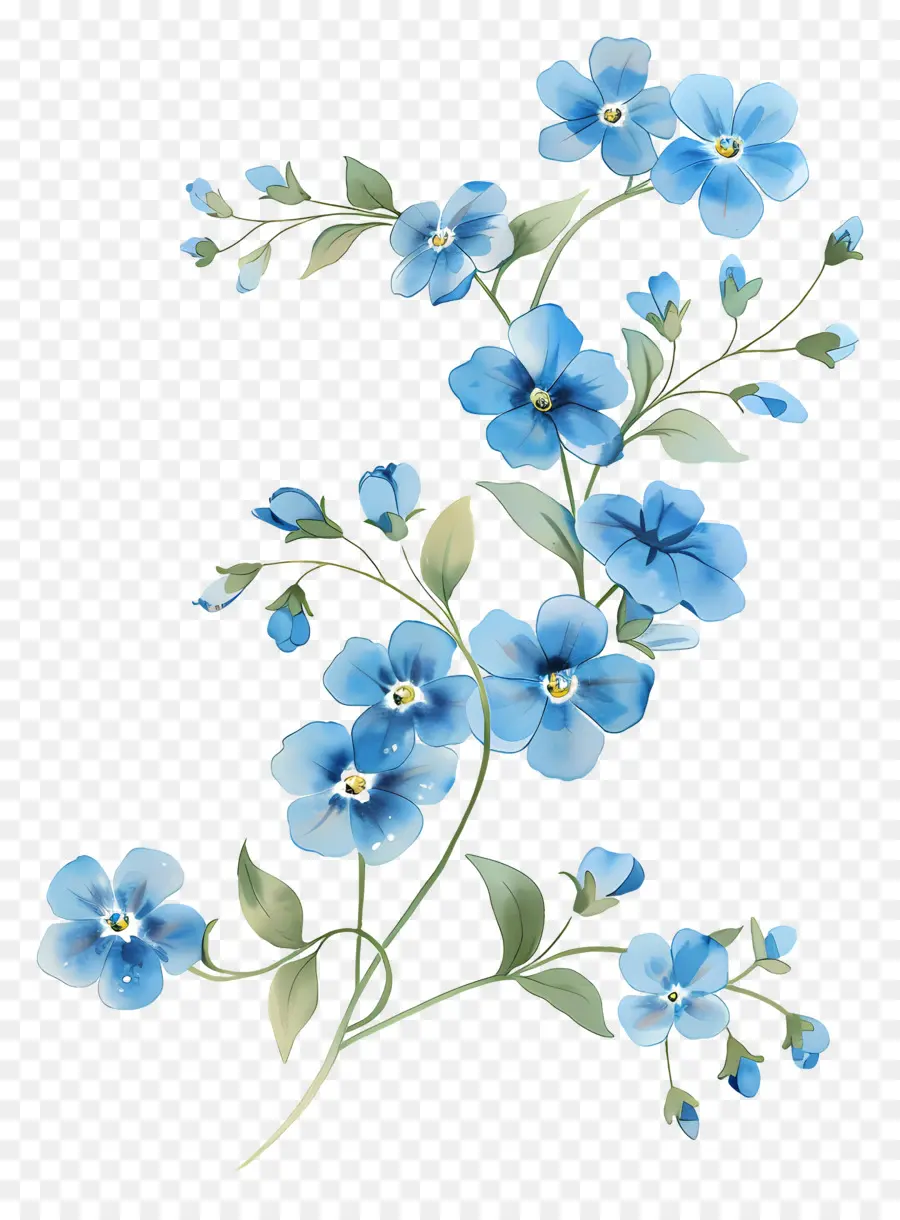 Ne M'oublie Pas，Fleurs Bleues PNG