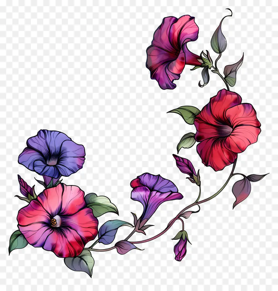 Fleurs De Pétunia，Fleurs Colorées PNG