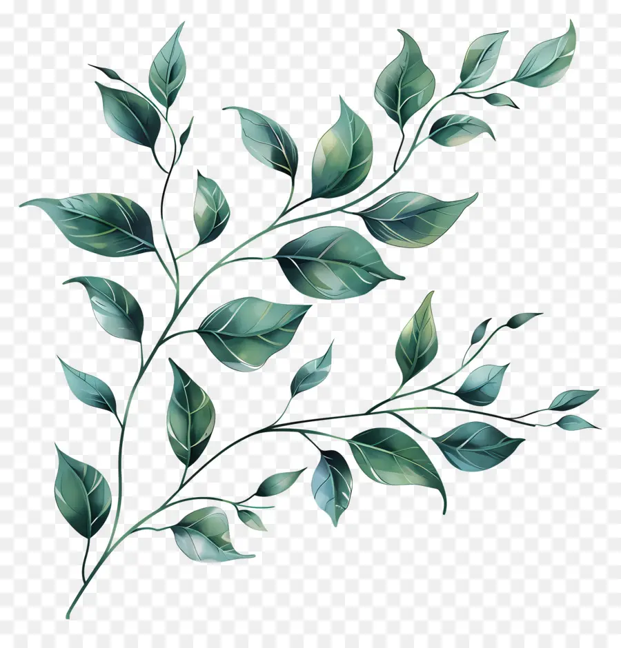 Se Répandre Avec Des Feuilles，La Branche Verte PNG