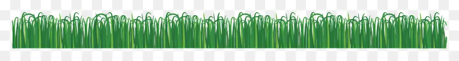 L'herbe De La Frontière，Le Vert De L'herbe PNG