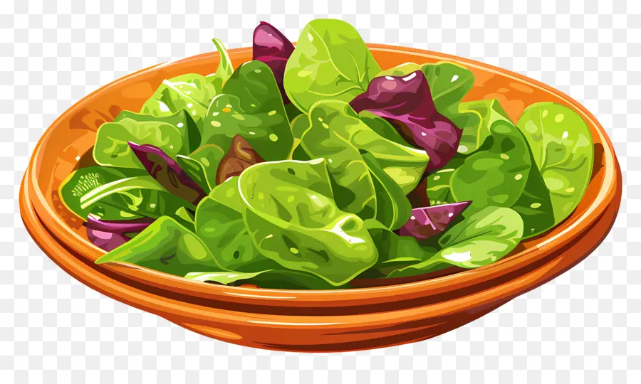 Salade Verte，Salade PNG