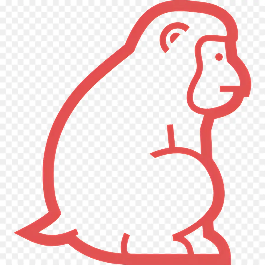 Singe，Contour De Singe PNG