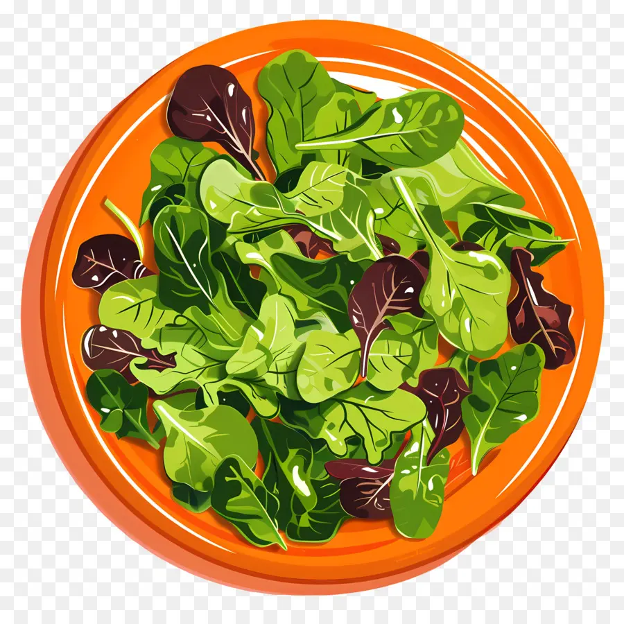 Salade Verte，Salade PNG