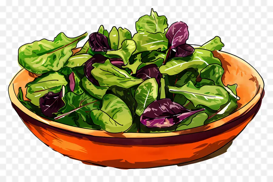 Salade Verte，Bol De Salade PNG