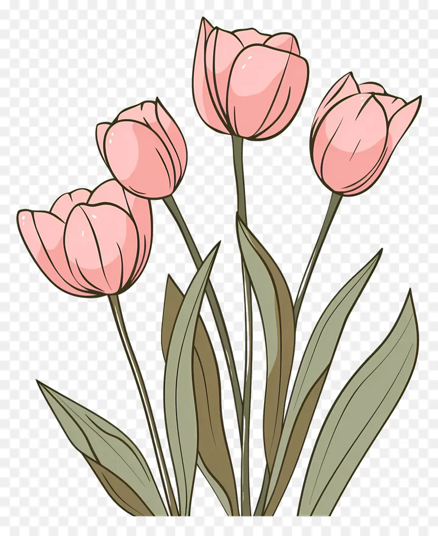 Tulipes Roses，Tulipes Rouges Et Violettes PNG