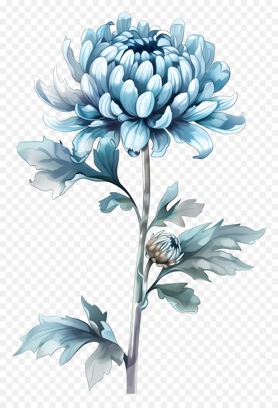 Bleu Chrysanthème，Tige PNG