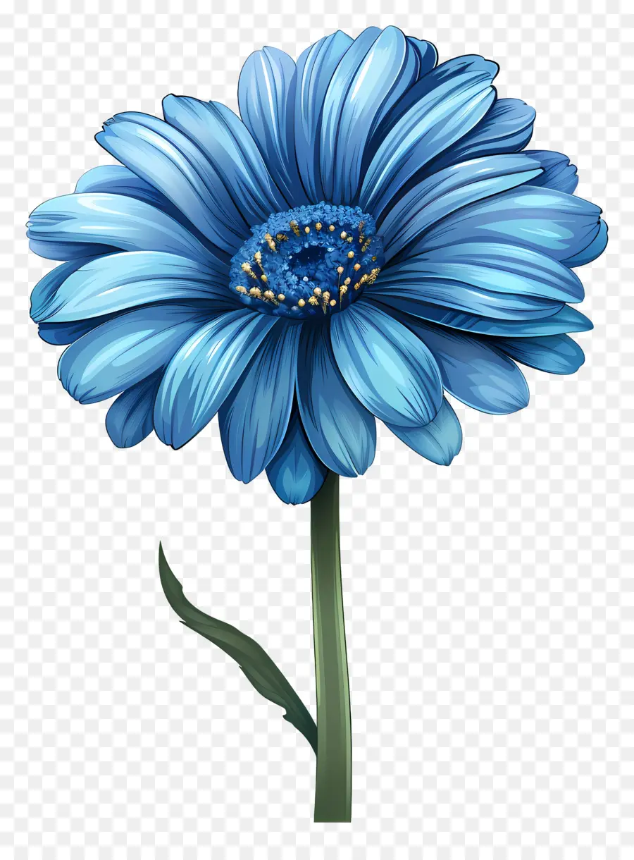 Gerbera Bleu，Fleur Bleue PNG