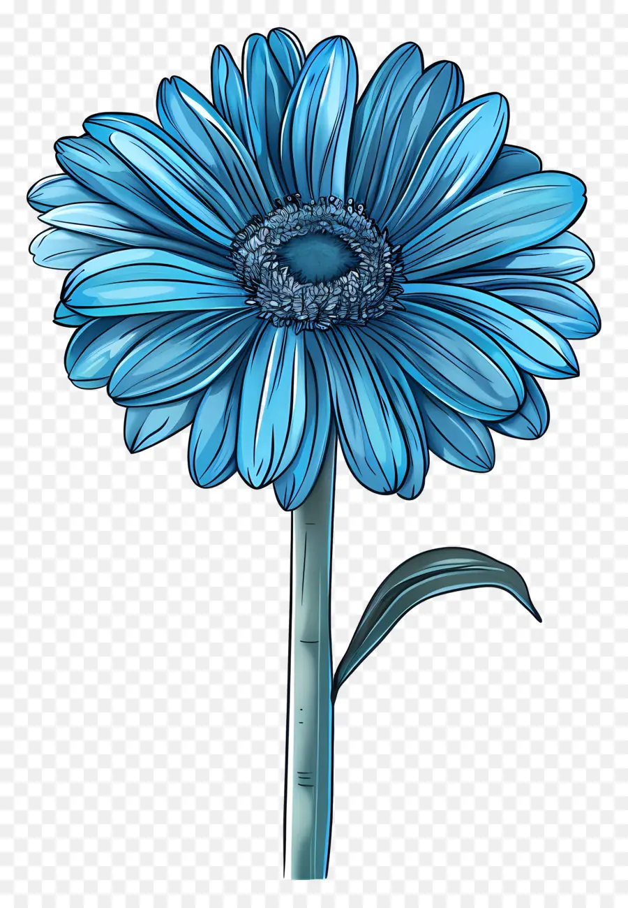 Blue Gerbera，Fleur Bleue PNG