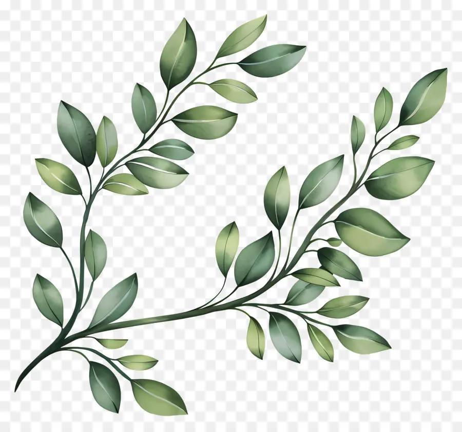 Brin Avec Des Feuilles，Branche Verte PNG