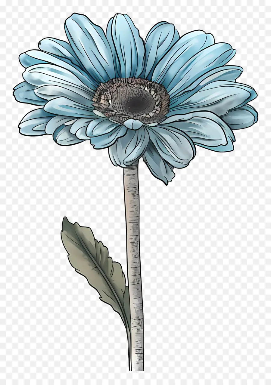 Gerbera Bleu，Fleur Bleue PNG