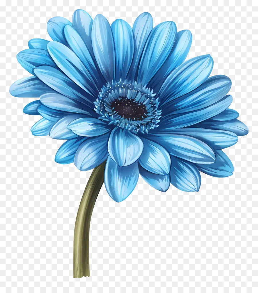 Gerbera Bleu，Fleur Blanche PNG