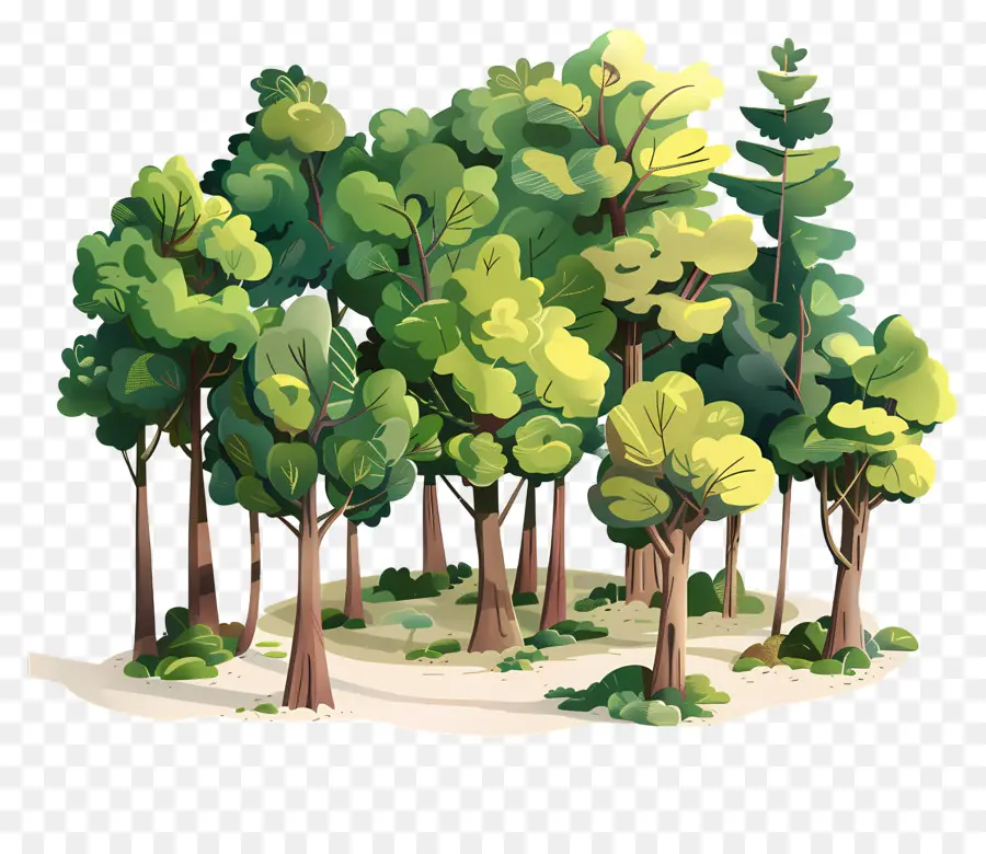 Couvert Forestier，Arbres Verts PNG