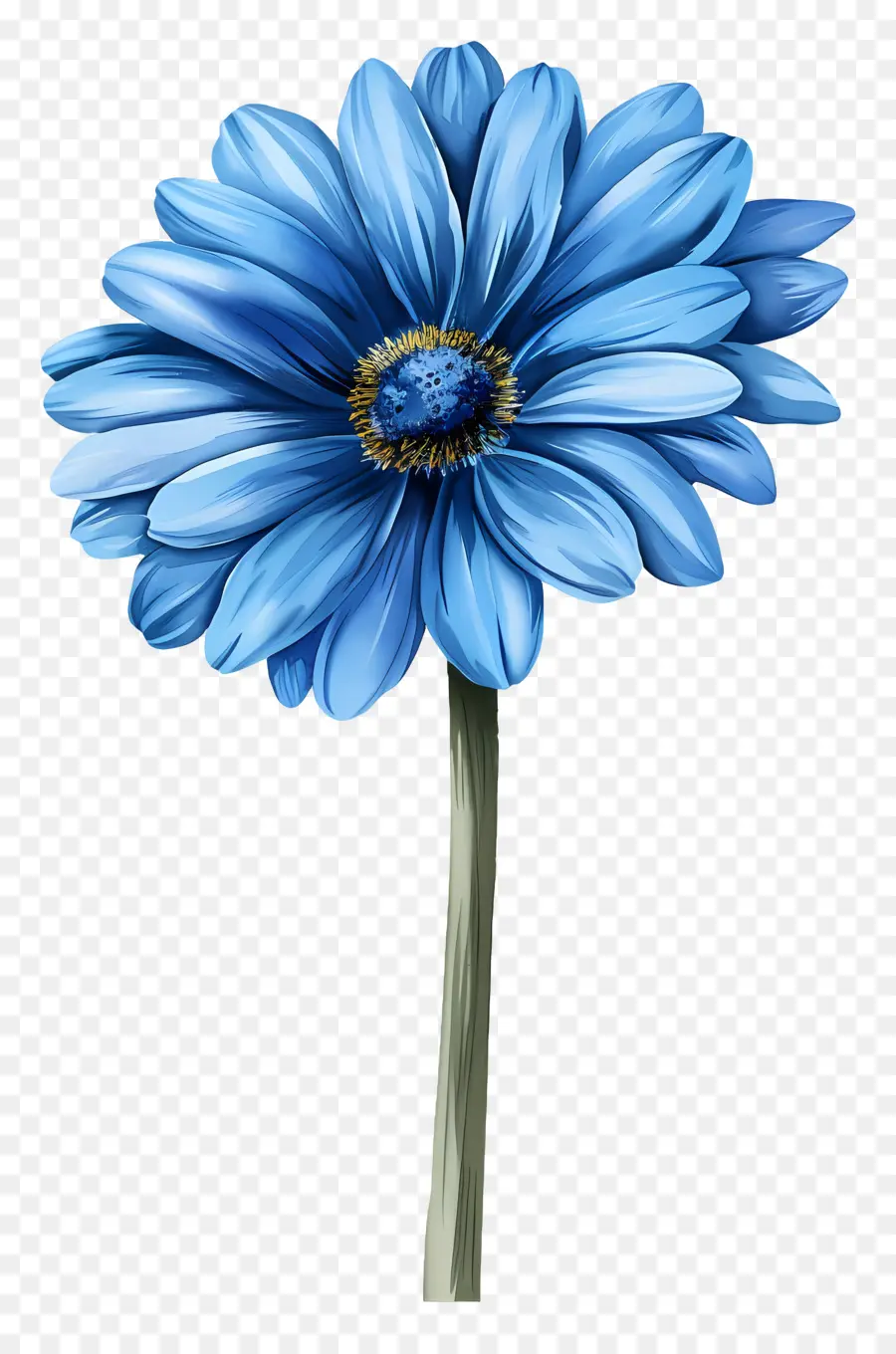 Gerbera Bleu，Fleur Bleue PNG