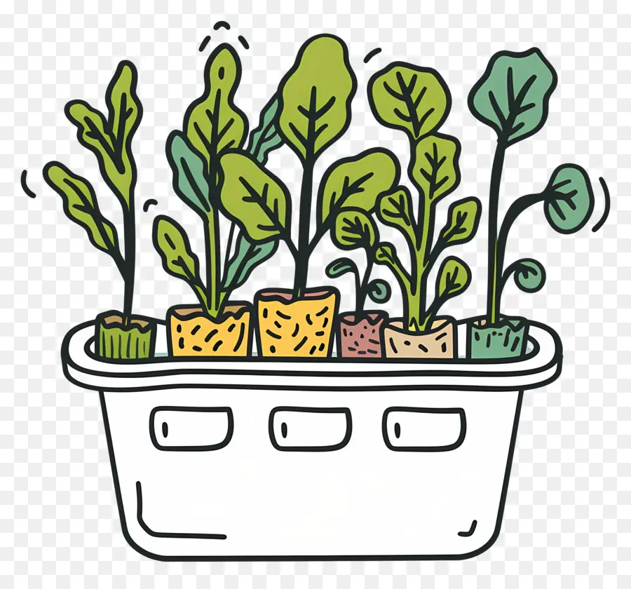 Plante Hydroponique，Plantes En Pot PNG