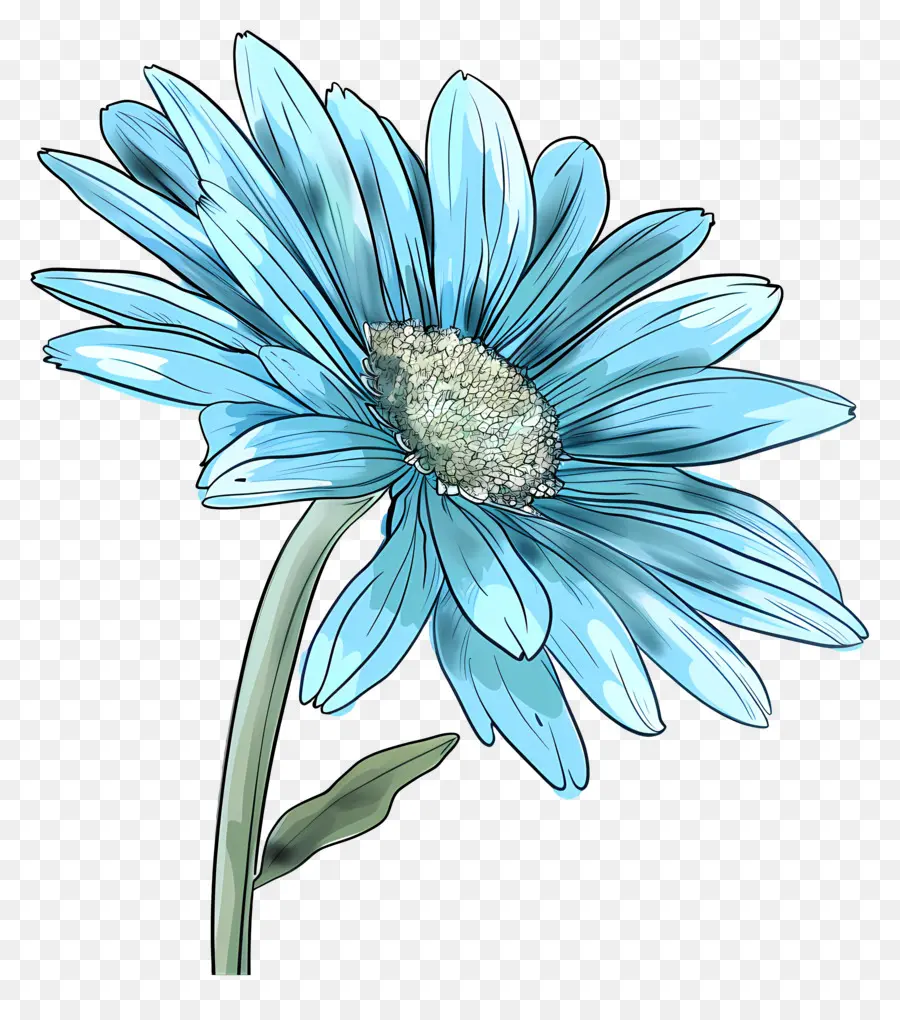 Gerbera Bleu，Fleur Bleue PNG