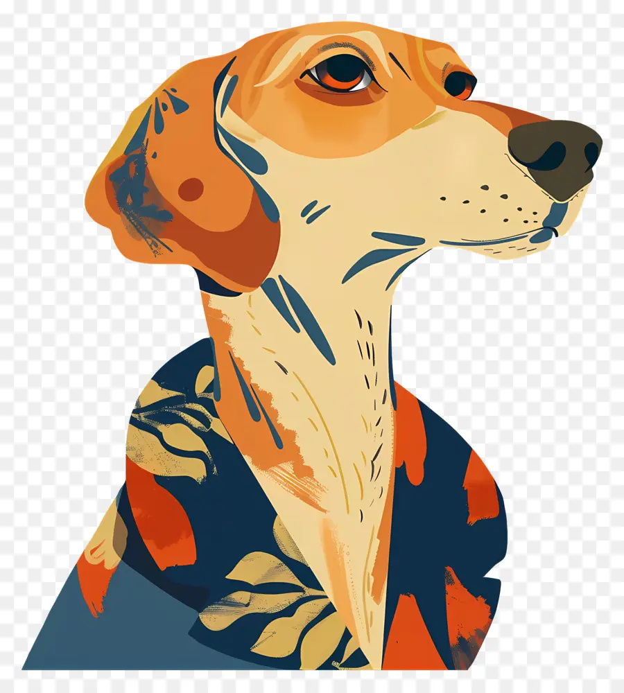 Chien，Chien Dans Une Chemise Colorée PNG