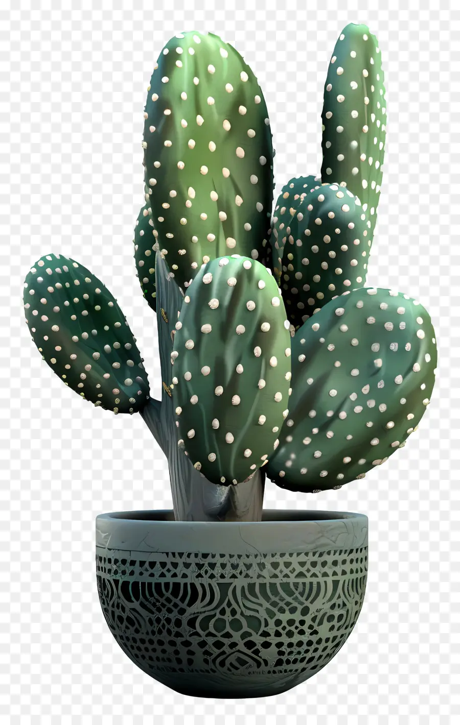 Cactus，Pot PNG