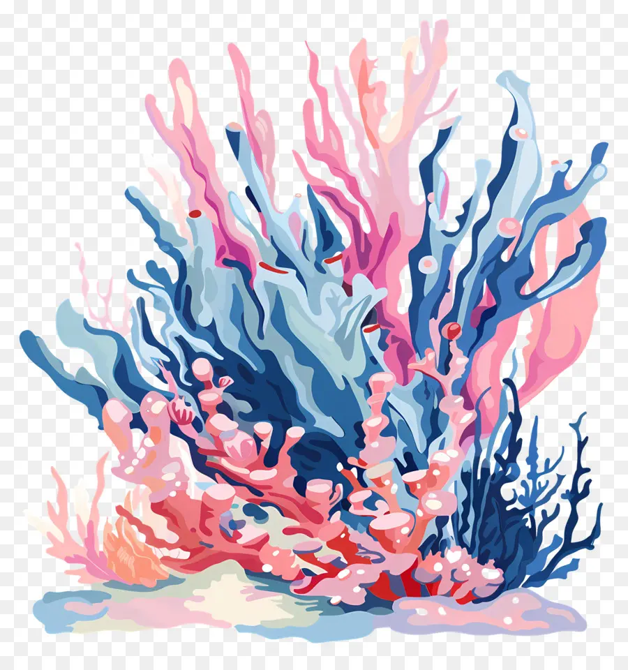 Le Blanchissement Des Coraux，Corail Coloré PNG