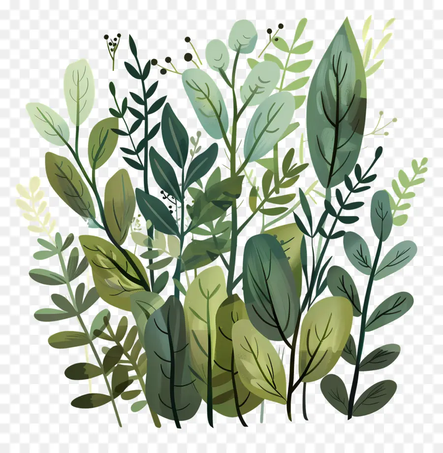 Verdure Extérieure，Plantes PNG