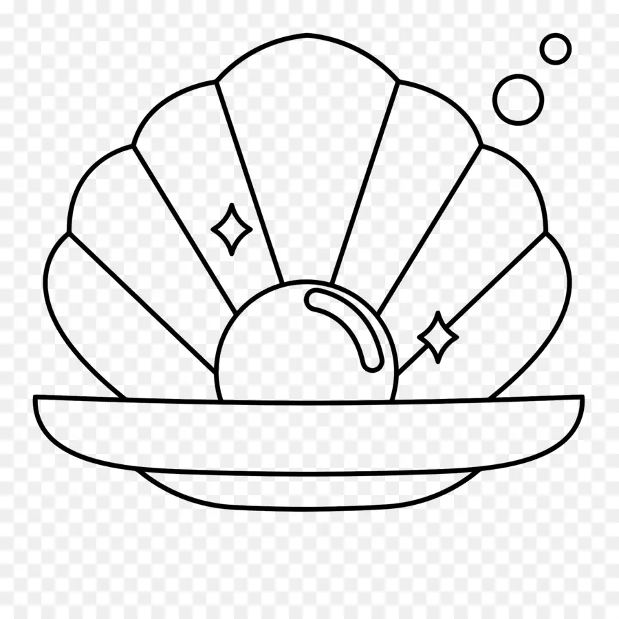 Perle，Coquille PNG