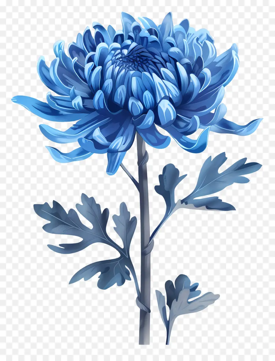 Bleu Chrysanthème，Tige PNG