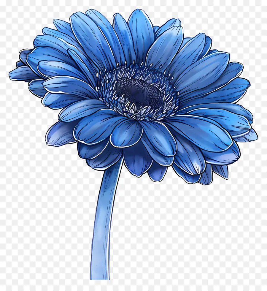 Gerbera Bleu，Fleur Bleue PNG