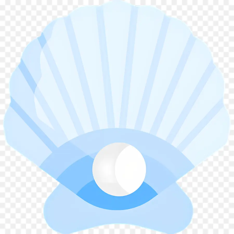 Perle，Coquille PNG