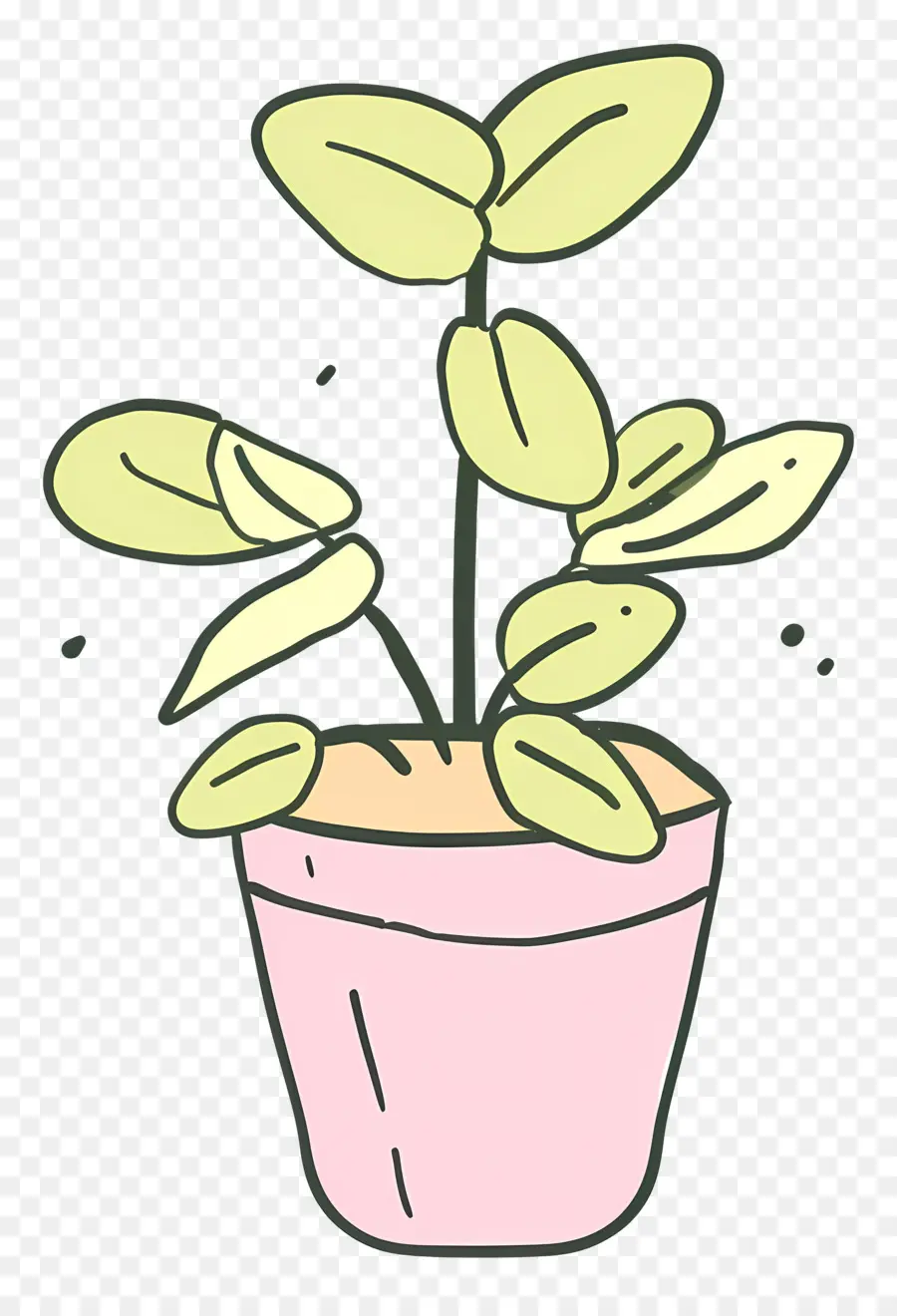 Plante Hydroponique，Plante En Pot PNG