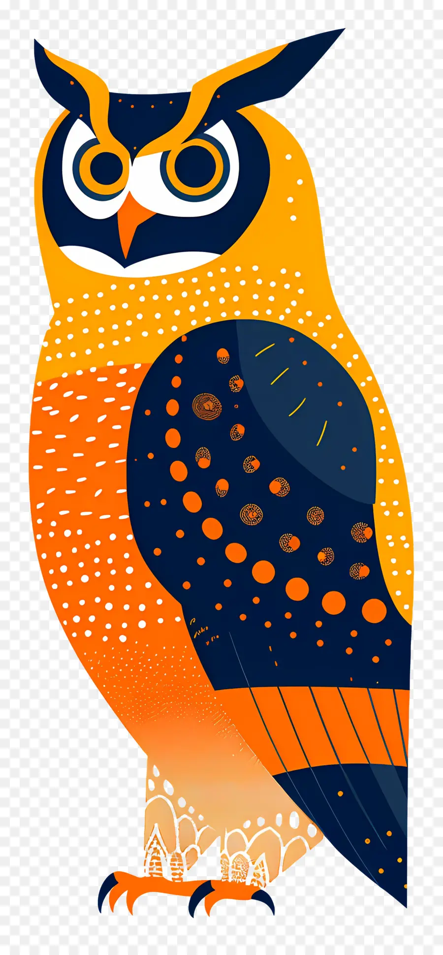 Hibou，Hibou Coloré PNG