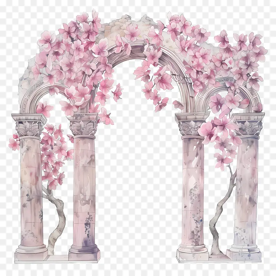 Arche De Fleur Rose，Fleur Arc PNG