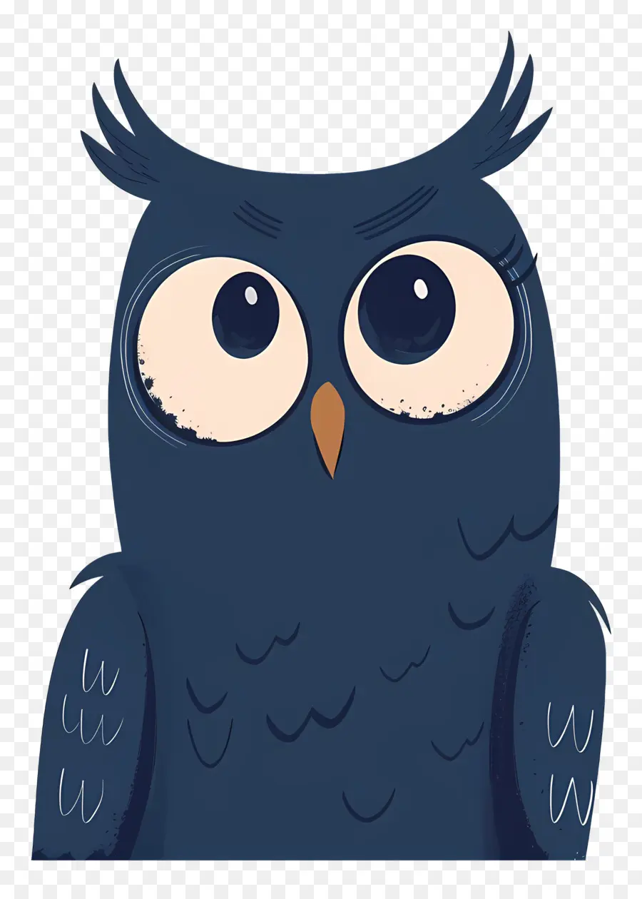 Hibou，Chouette Bleue PNG