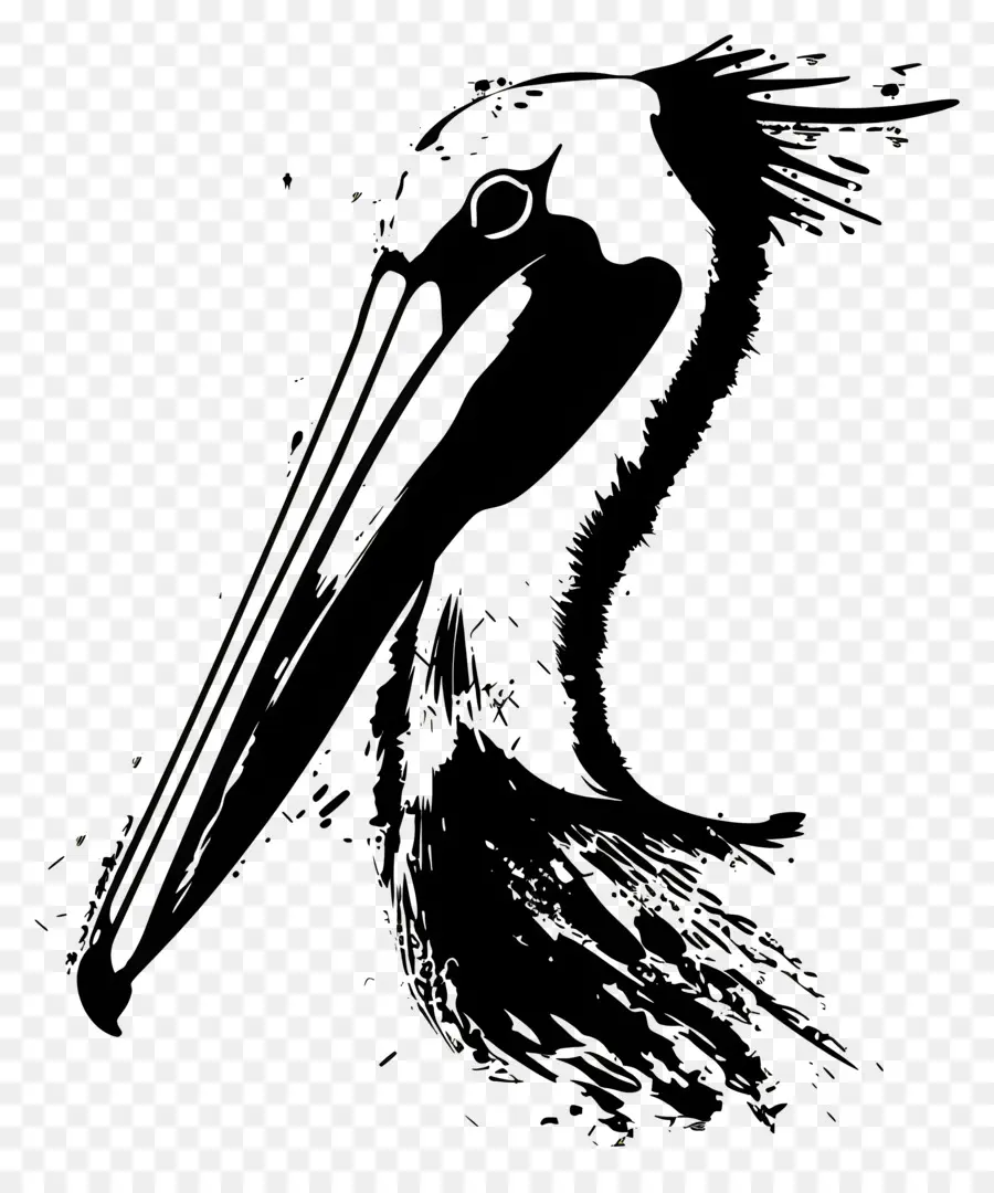 Tête De Pélican，Oiseau Noir Et Blanc PNG