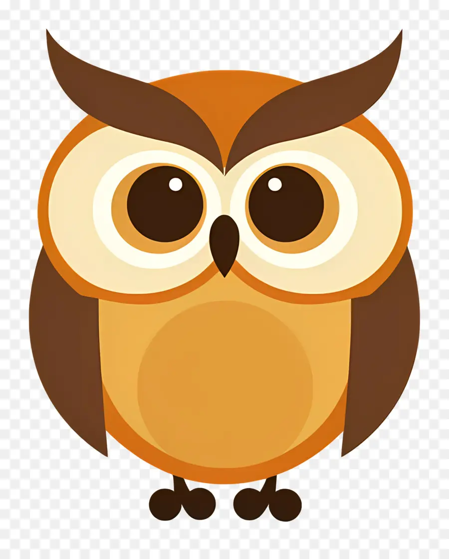 Hibou，Visage De Hibou PNG