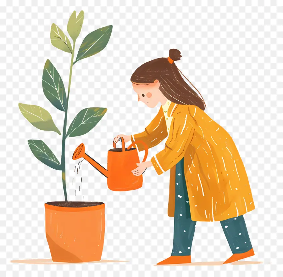 Plante D'arrosage Fille，Usine PNG