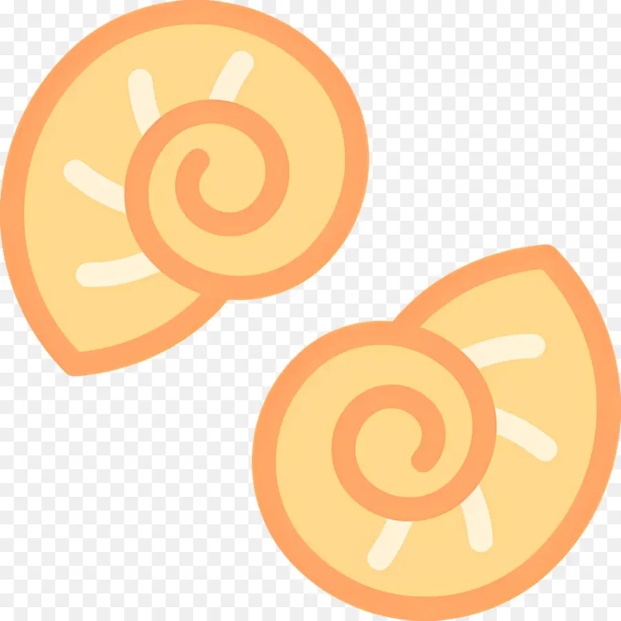 Coquilles，Coquillages PNG