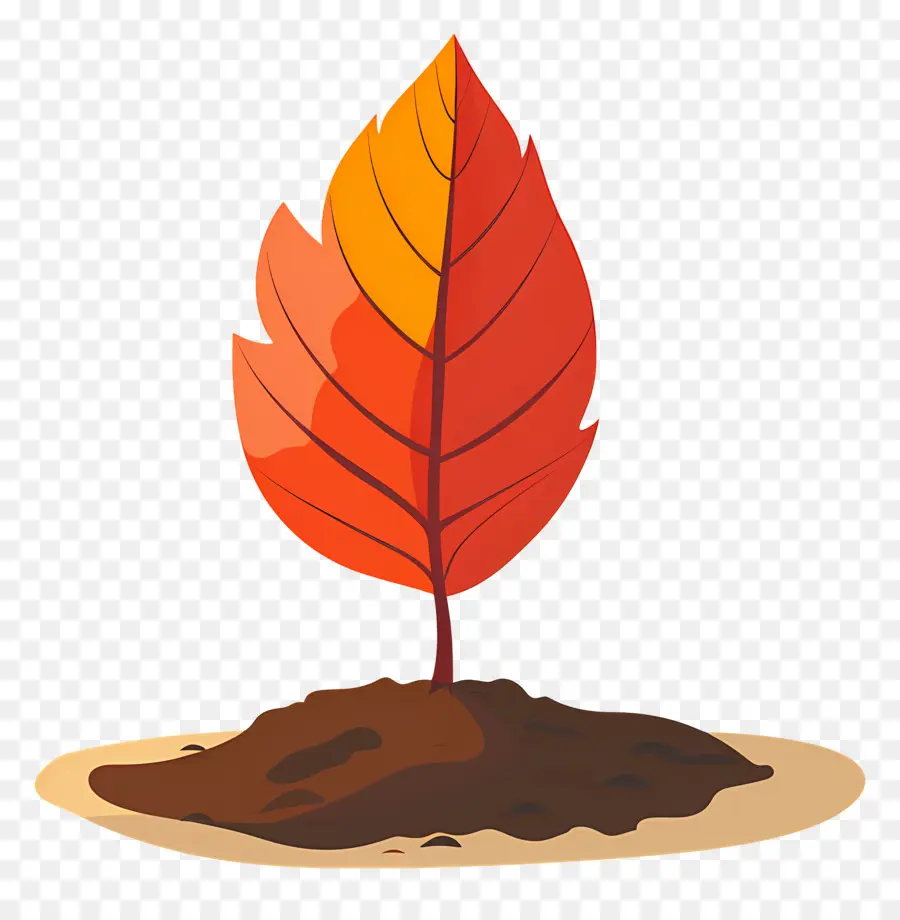 Feuille D'automne Sur Le Sol，Germe De Plante PNG