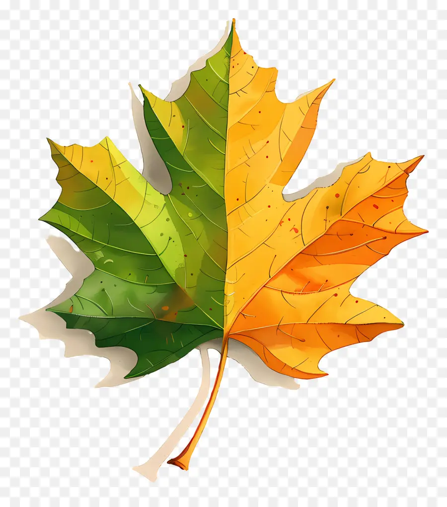 Feuille D'automne，Feuilles D'automne PNG