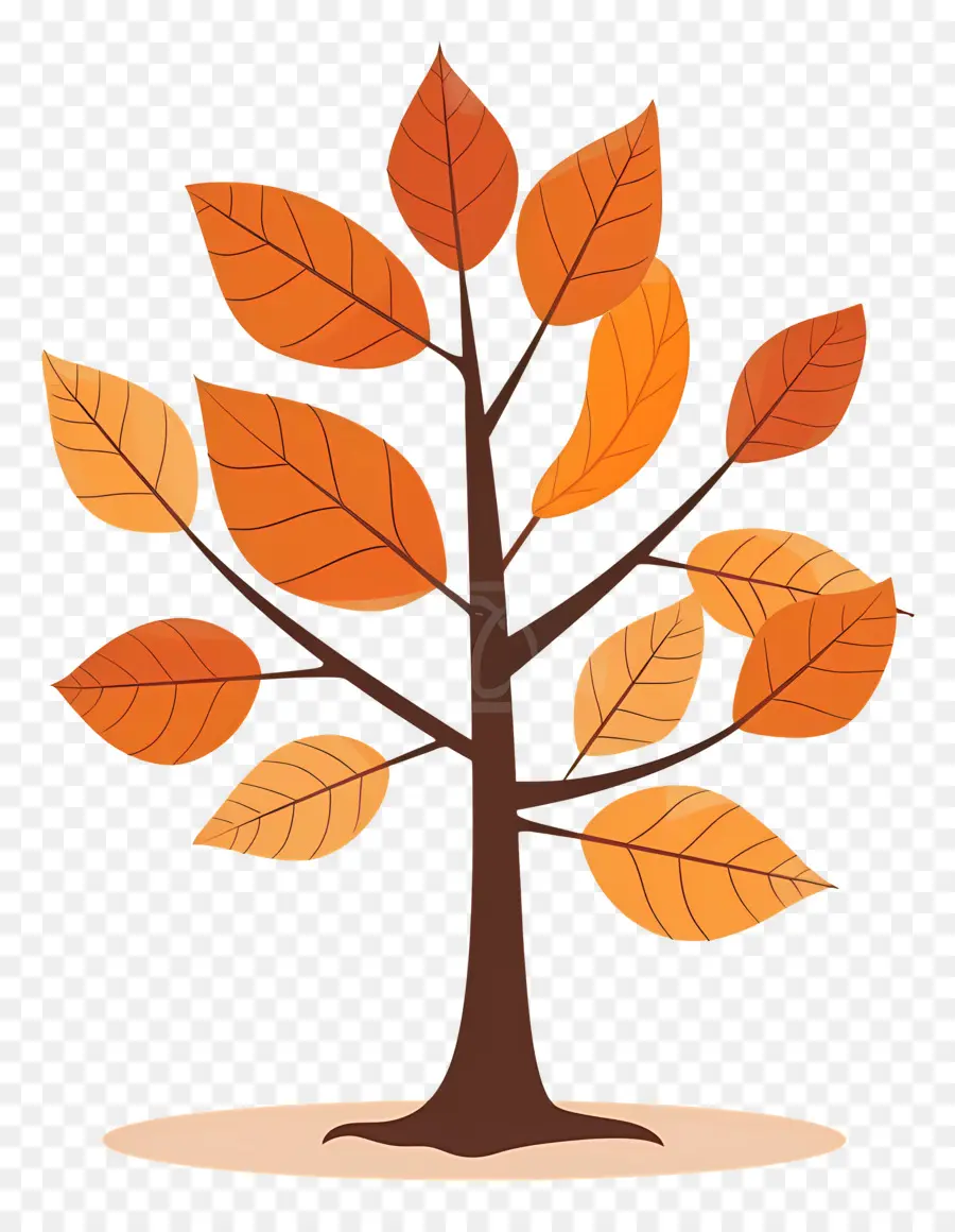 Feuille D'automne Sur L'arbre，Arbre D'automne PNG