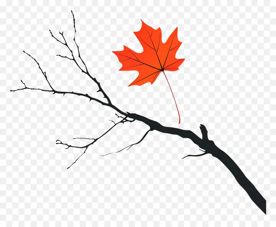 Feuille D'automne Sur L'arbre，Branche Avec Feuille PNG