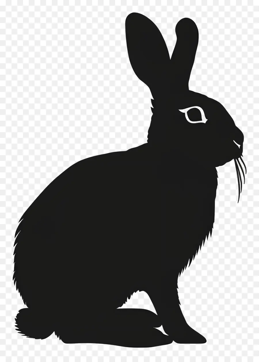 Silhouette De Lapin，Lapin PNG