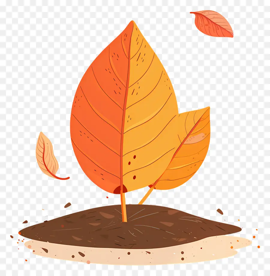 Feuille D'automne Sur Le Sol，Feuille PNG